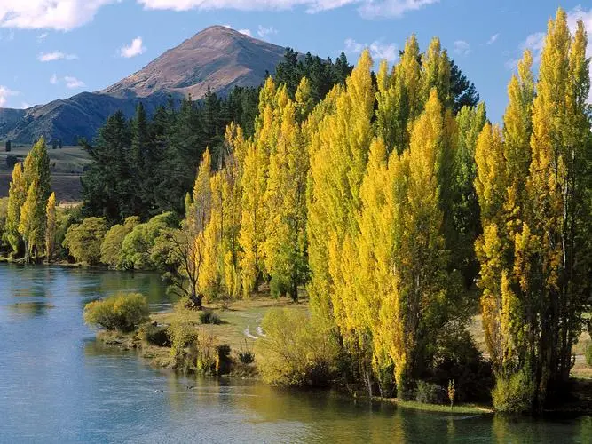 绿色精密智慧工厂